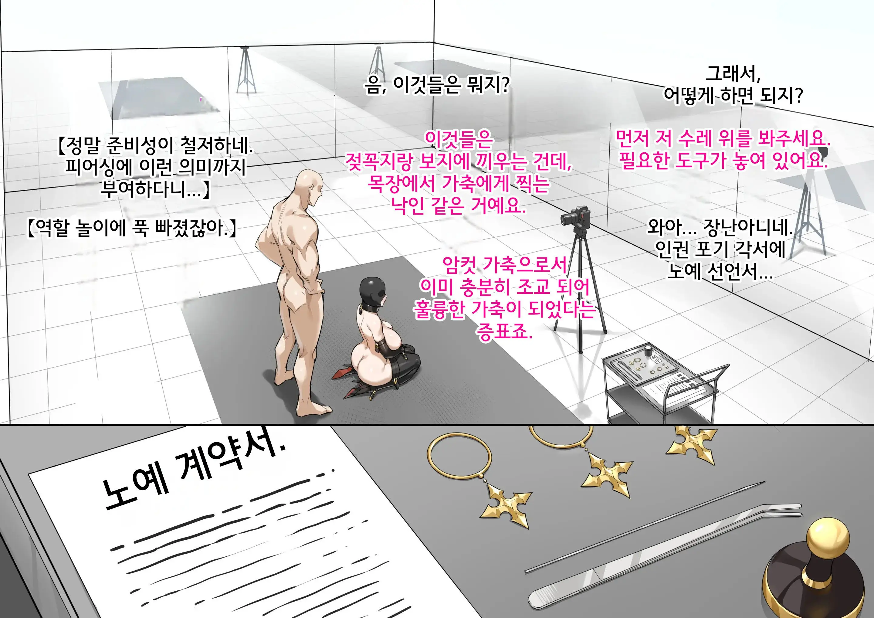 Secret Plan | 비밀기획