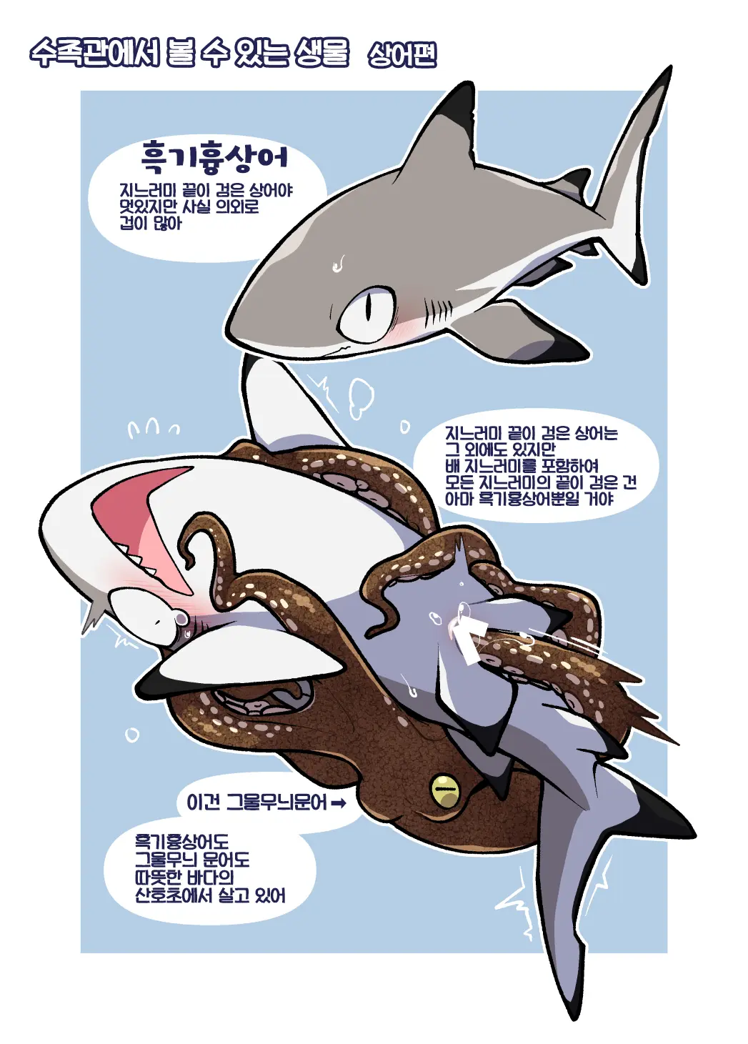 Dokidoki Suizokukan | 두근두근 수족간