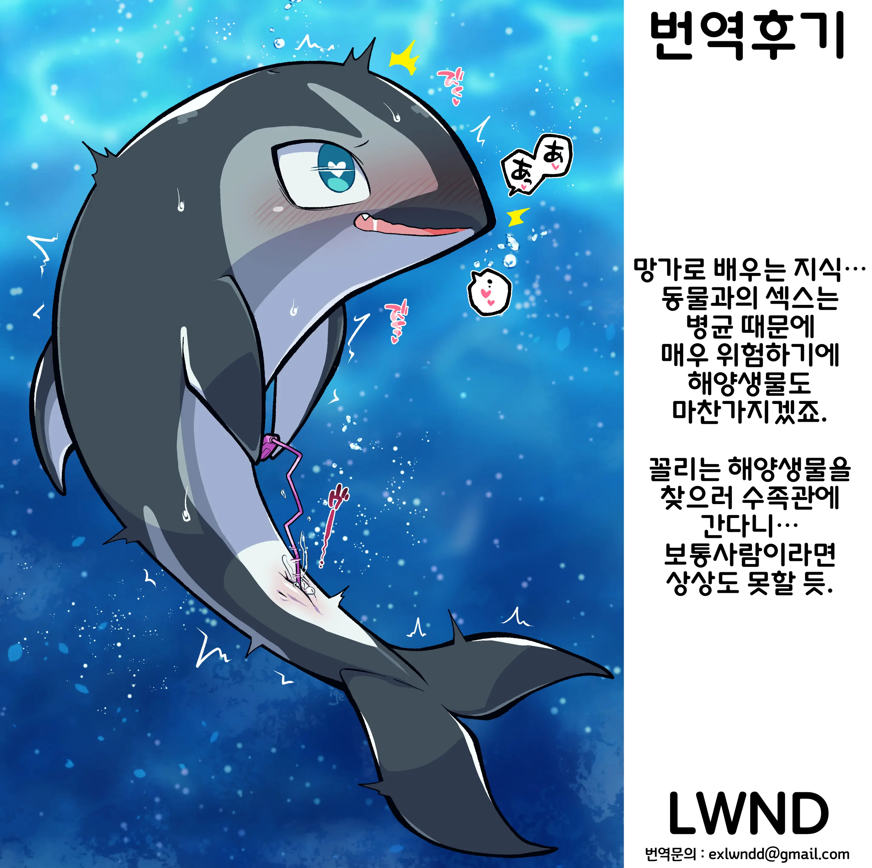 Dokidoki Suizokukan | 두근두근 수족간