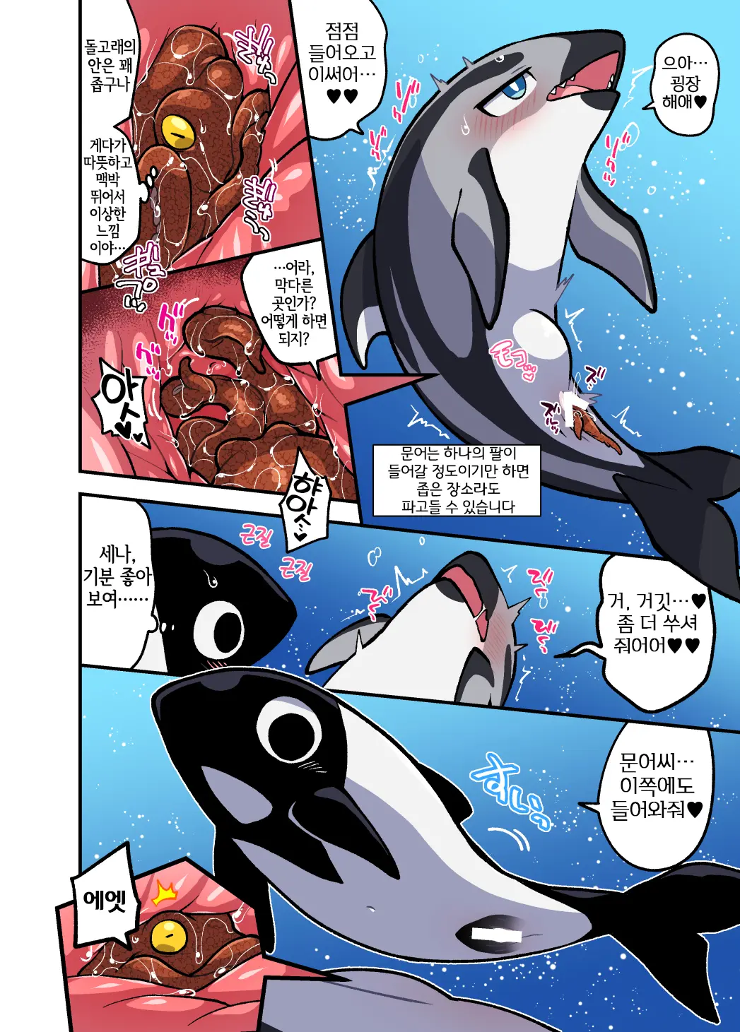 Dokidoki Suizokukan | 두근두근 수족간