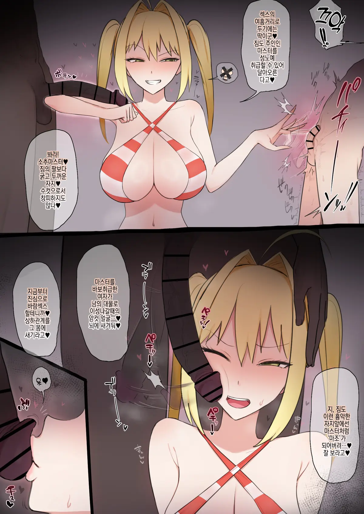 모음집