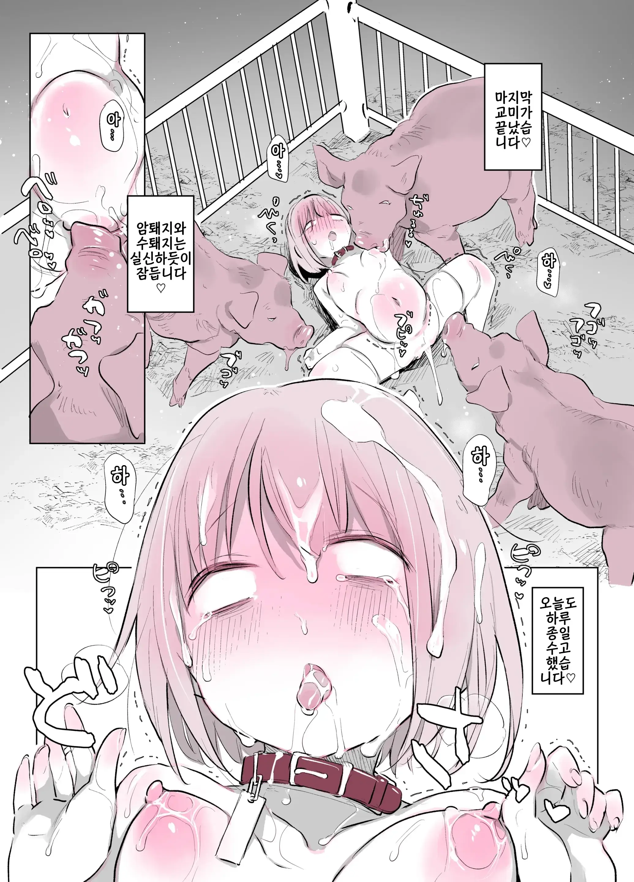 Butagoya No Nichijou