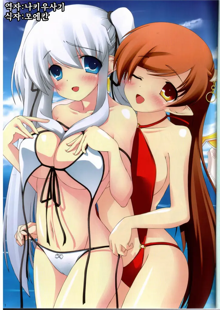 MABINOGI In A Skimpy Swimsuit