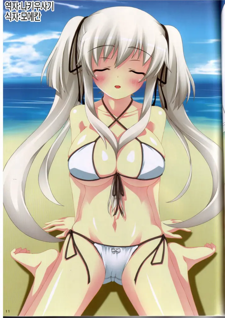 MABINOGI In A Skimpy Swimsuit