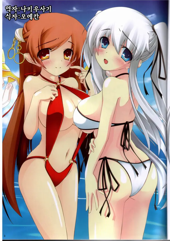 MABINOGI In A Skimpy Swimsuit