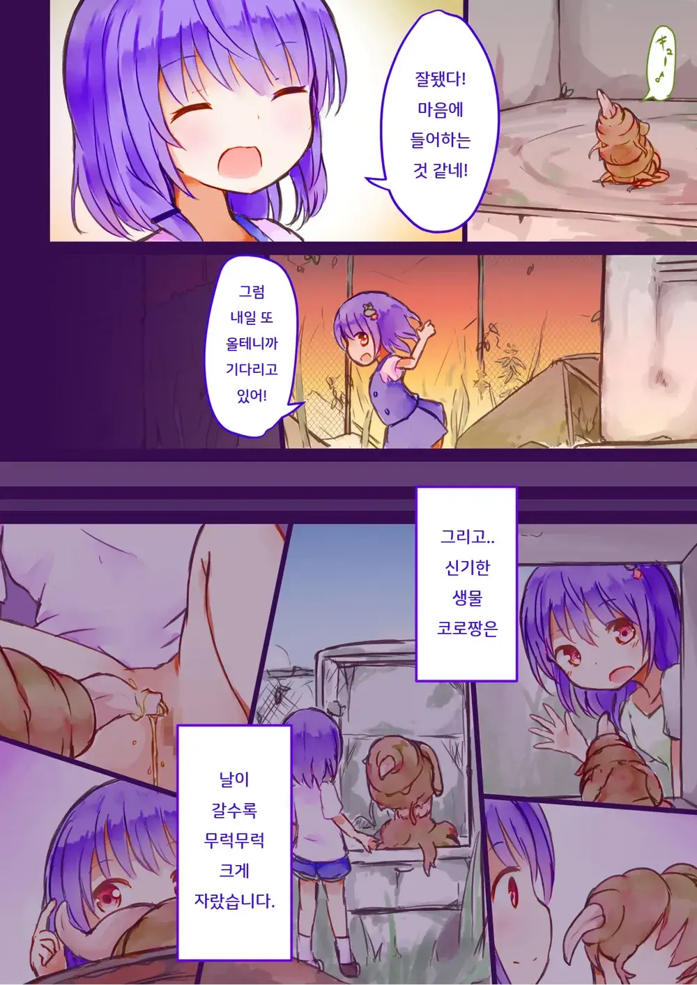 Kibou No Shouwakusei