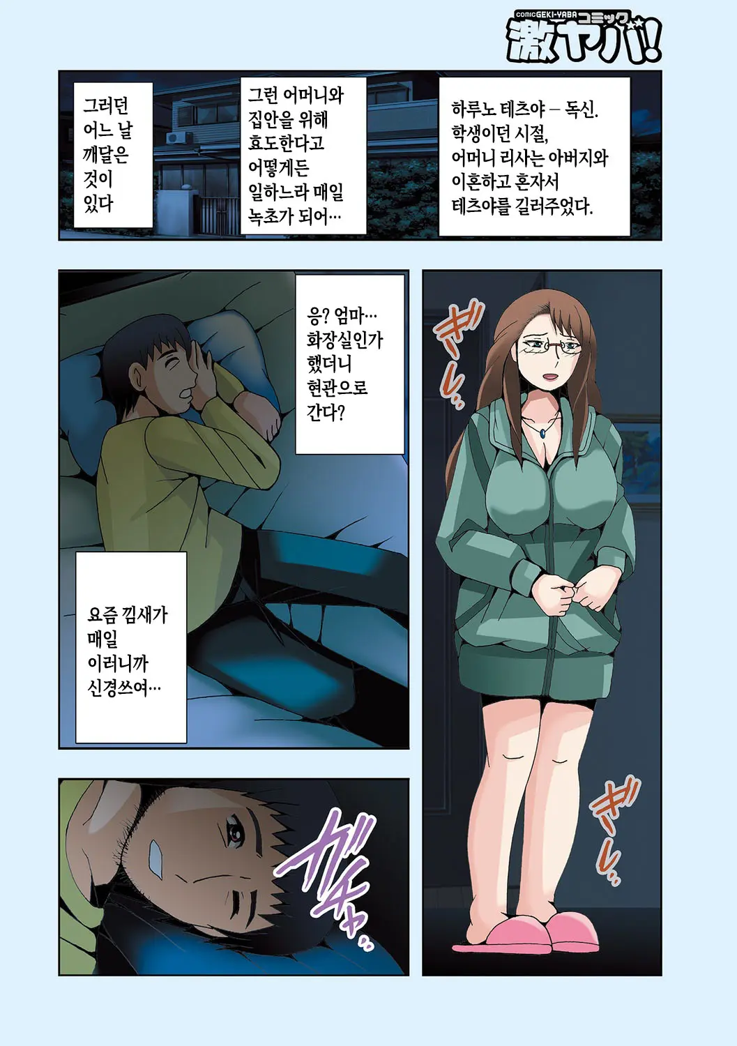 Haha No Himitsu To Boku No Kankei 1-2 | 엄마의 비밀과 나의 관계 1-2