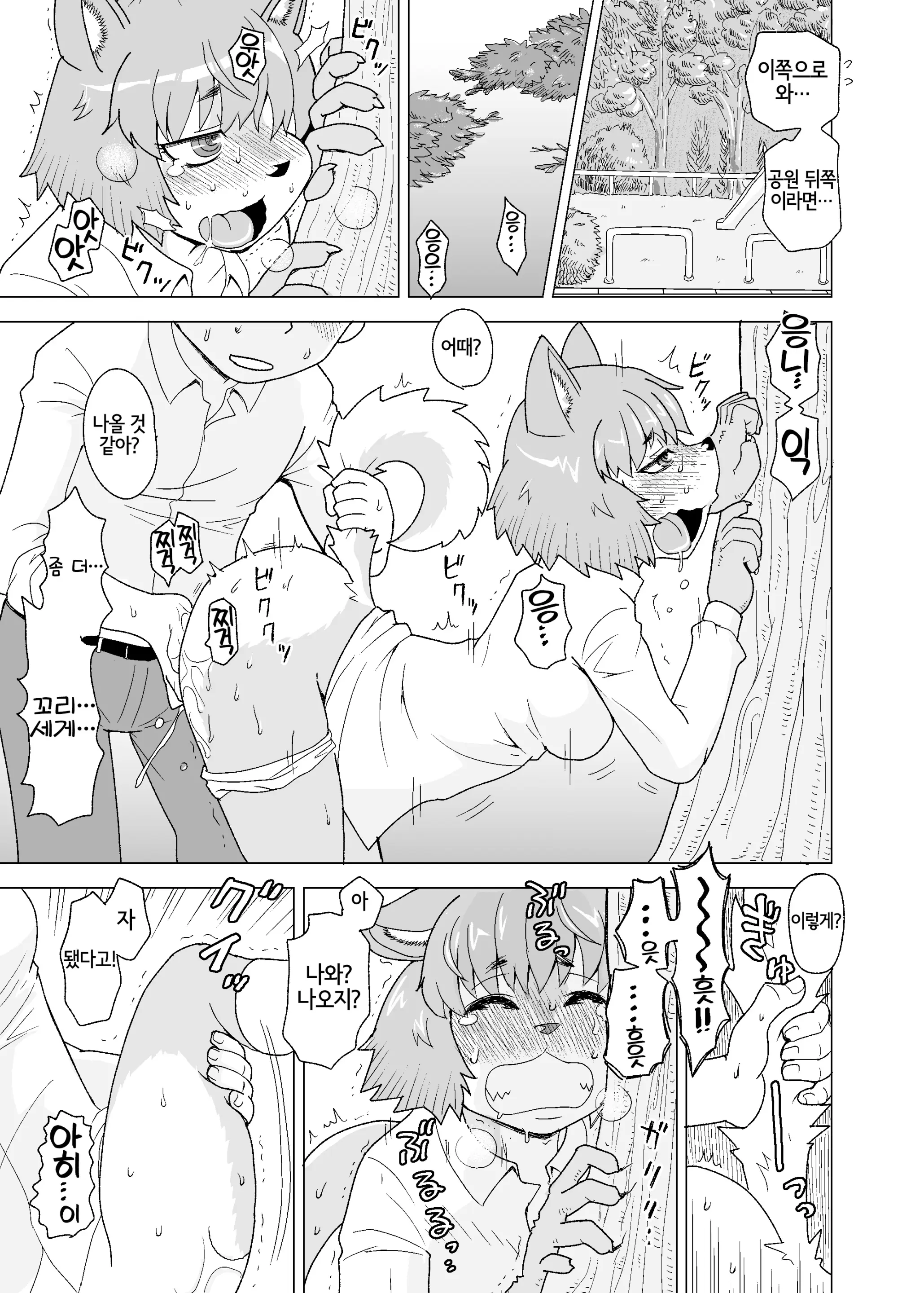 Kemono Moriawase | 수인 모둠정식