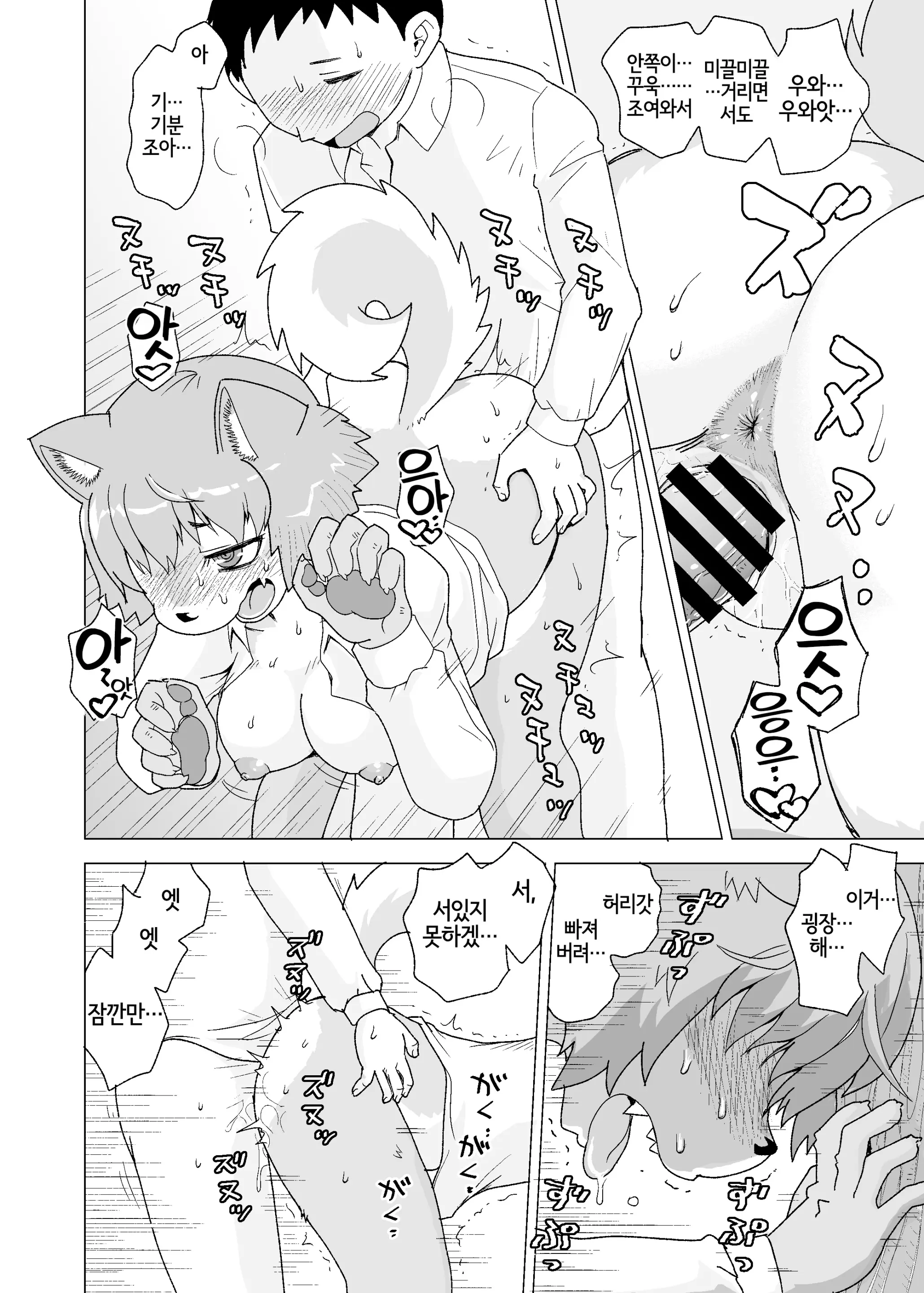 Kemono Moriawase | 수인 모둠정식