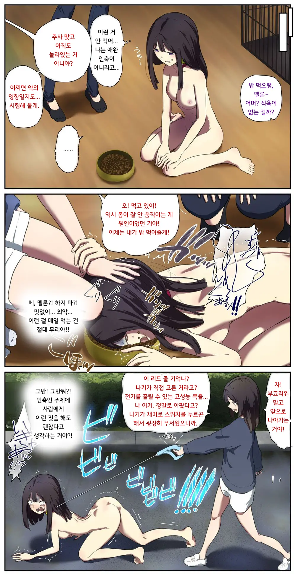 애완 인축이 있는 집