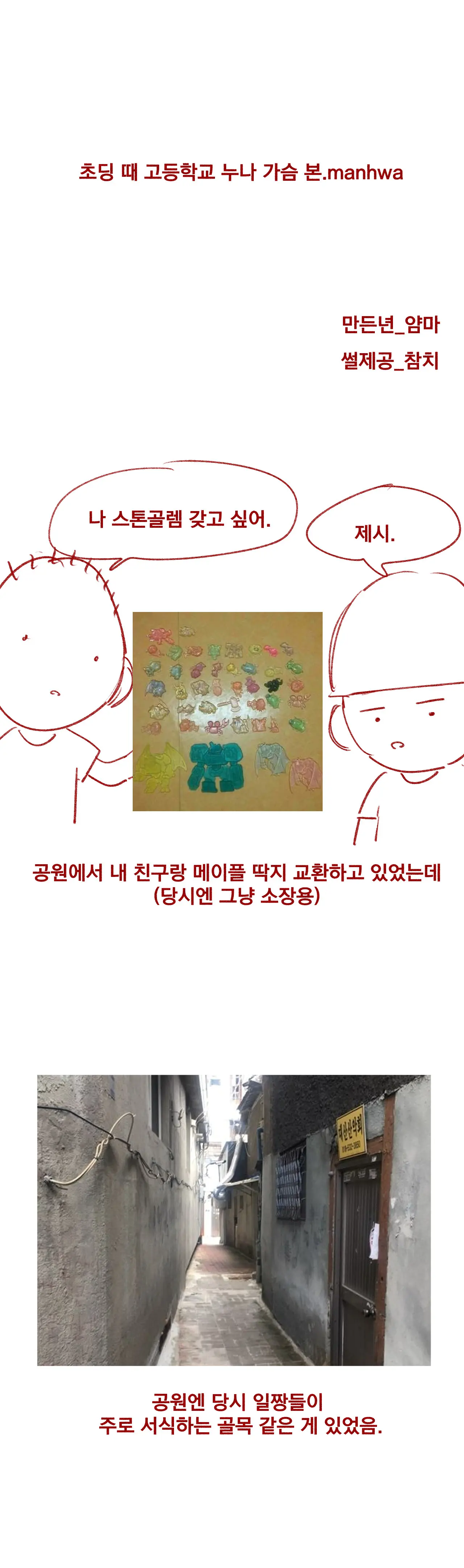 초딩 때 여고딩 누나 가슴 본