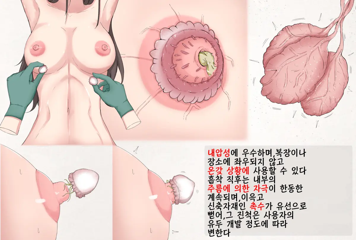 Insect Research Report No.22 | 벌레 연구 보고서 No.22