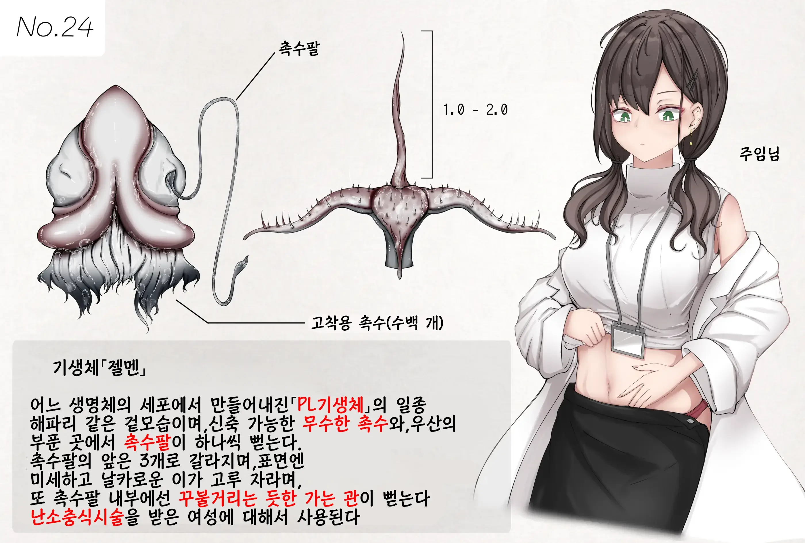 Insect Research Report No.24 | 벌레 연구 보고서 No.24