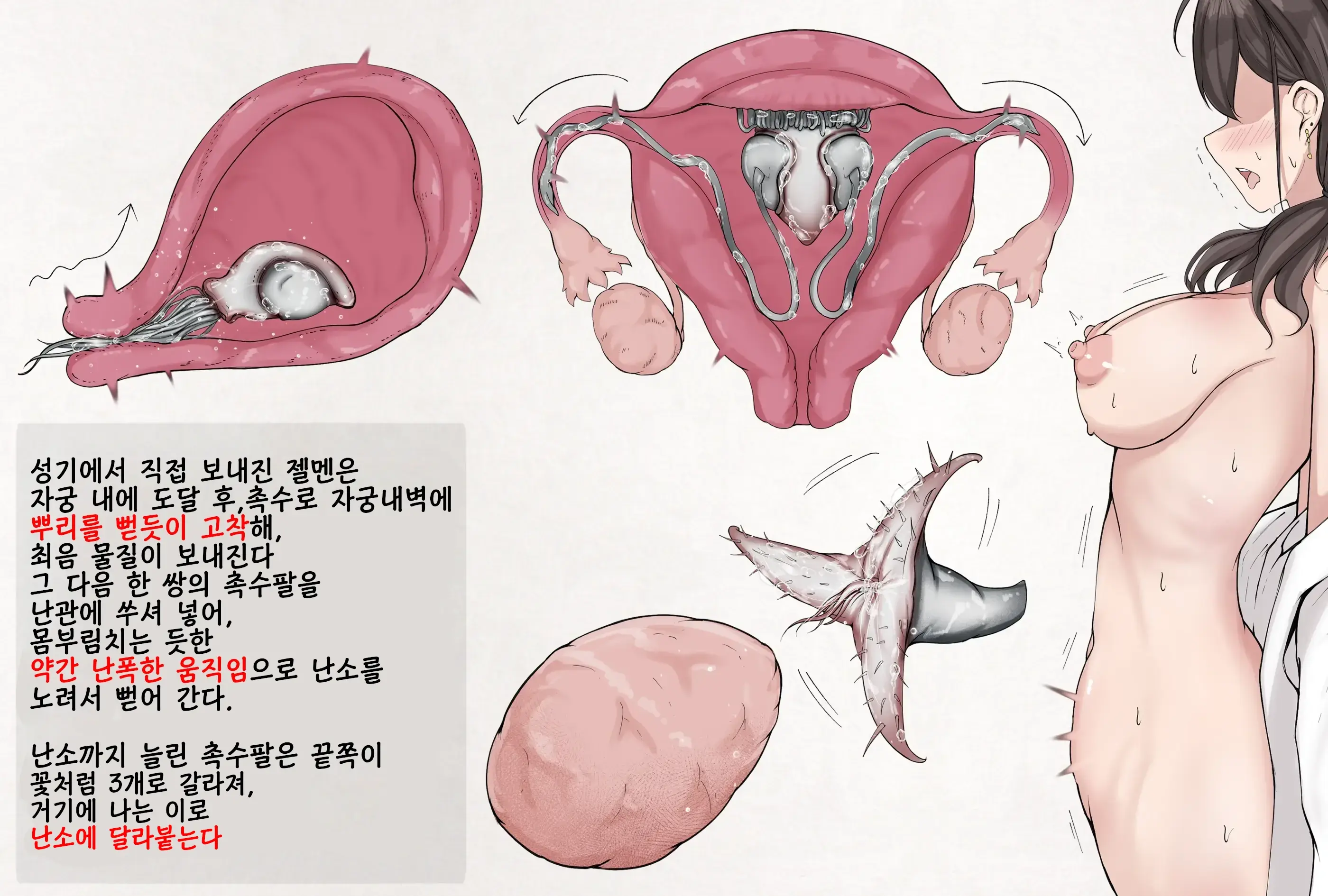 Insect Research Report No.24 | 벌레 연구 보고서 No.24