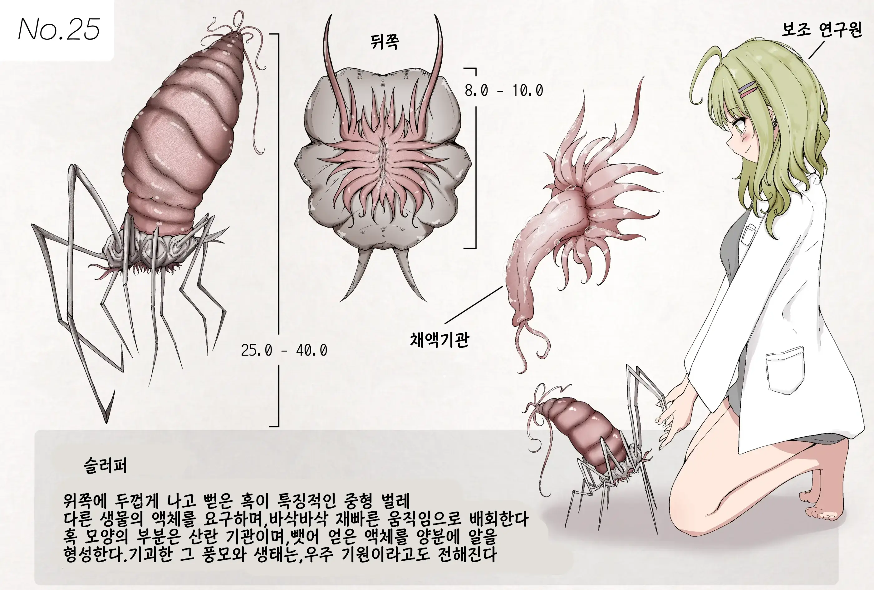Insect Research Report No.25 | 벌레 연구 보고서 No.25