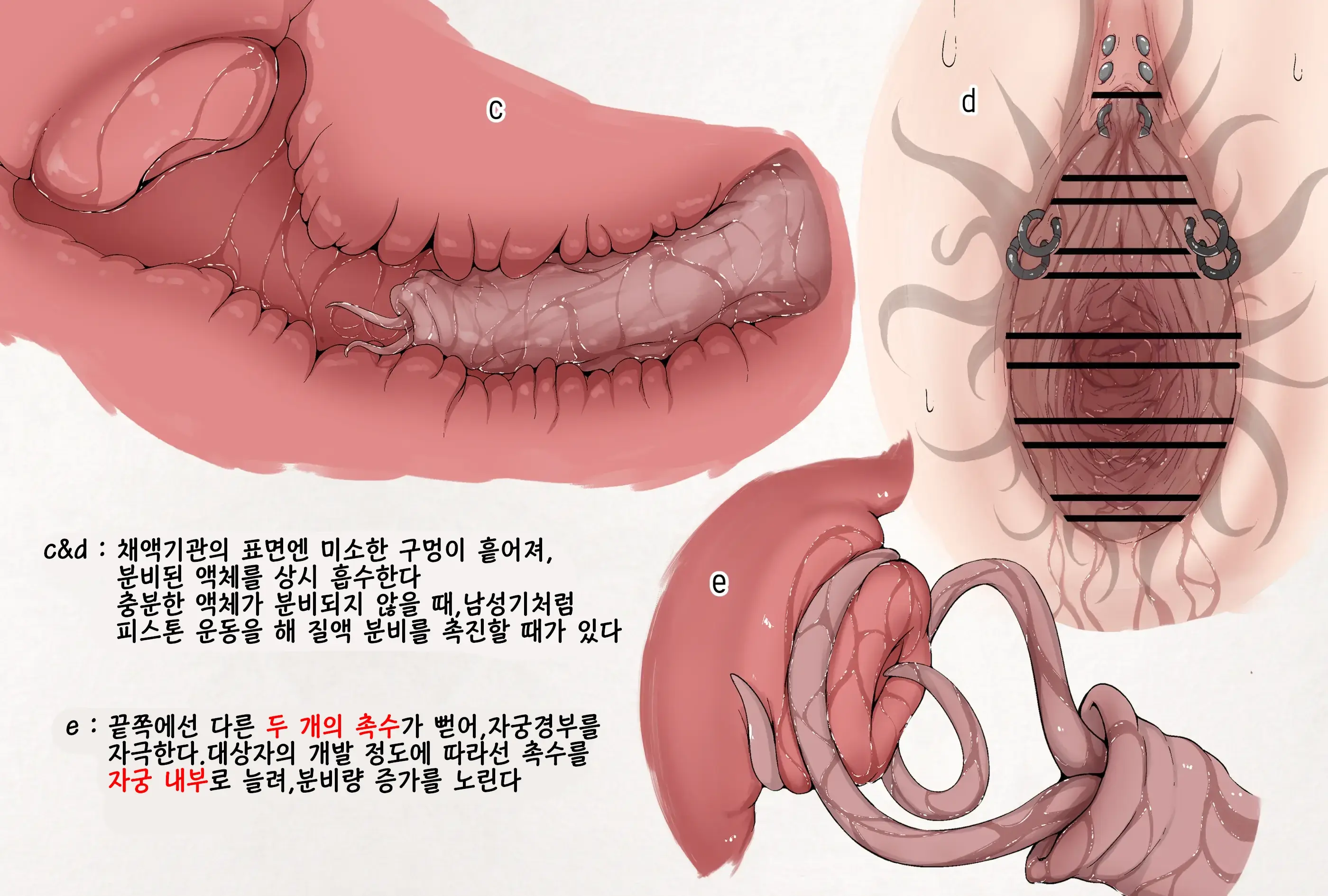 Insect Research Report No.25 | 벌레 연구 보고서 No.25
