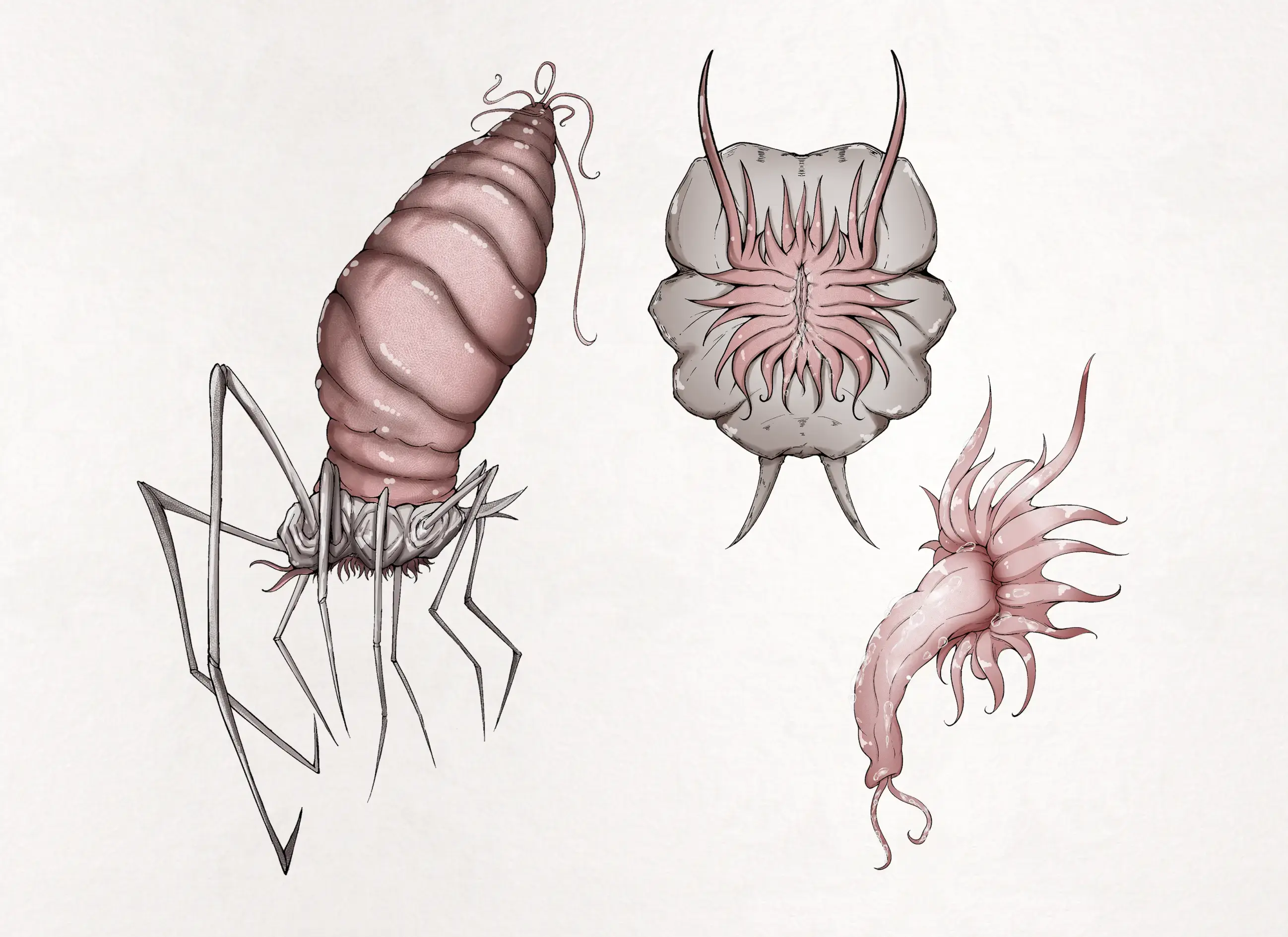 Insect Research Report No.25 | 벌레 연구 보고서 No.25