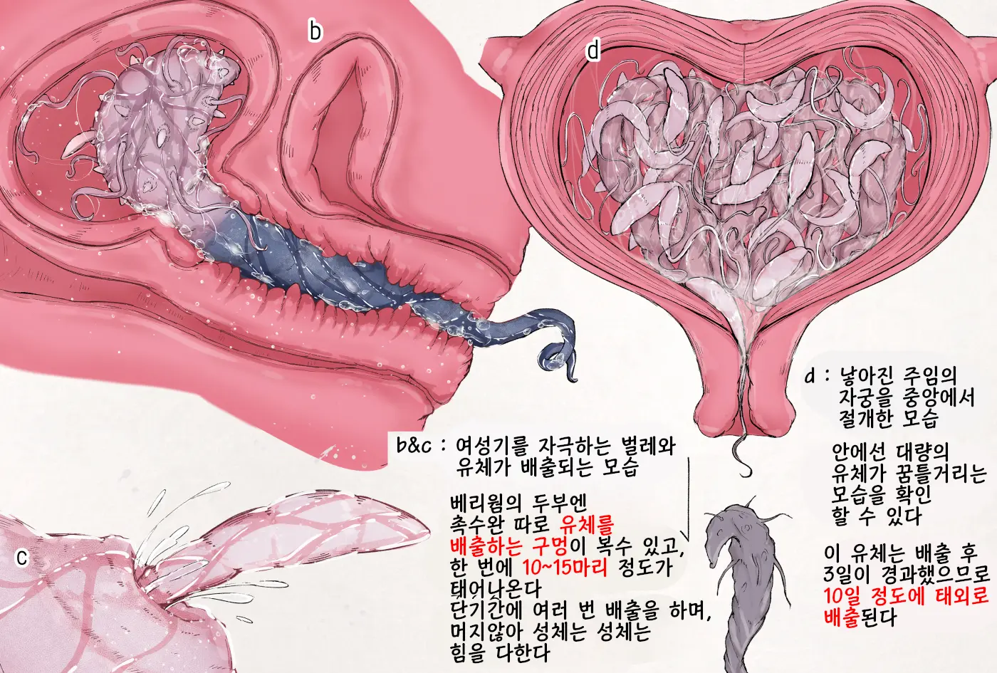 Insect Research Report No.27 | 벌레 연구 보고서 No.27