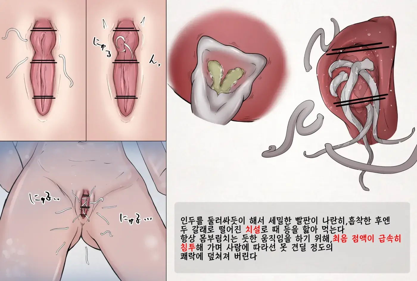 Mushi Research Report Ex_No.07 | 벌레 연구 보고서 Ex_No.7