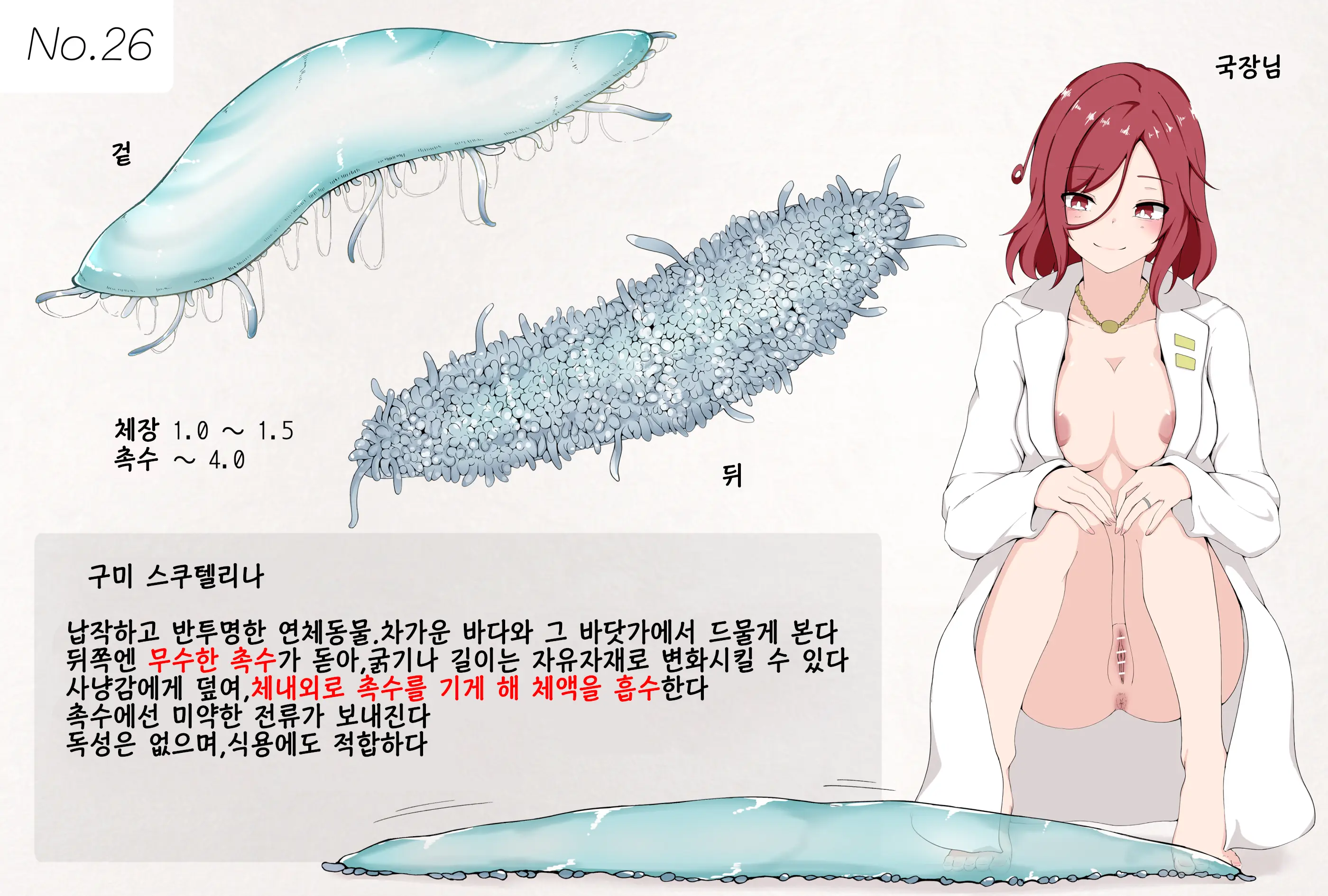 Mushi Research Report No.26 | 벌레 연구 보고서 No.26