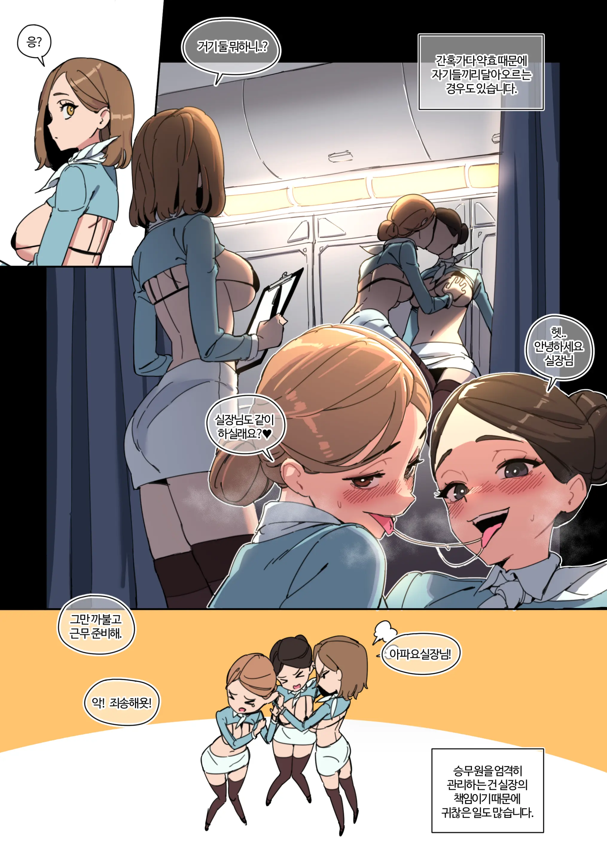 한사랑항공 다이아클래스 -승무원 사용 가이드-