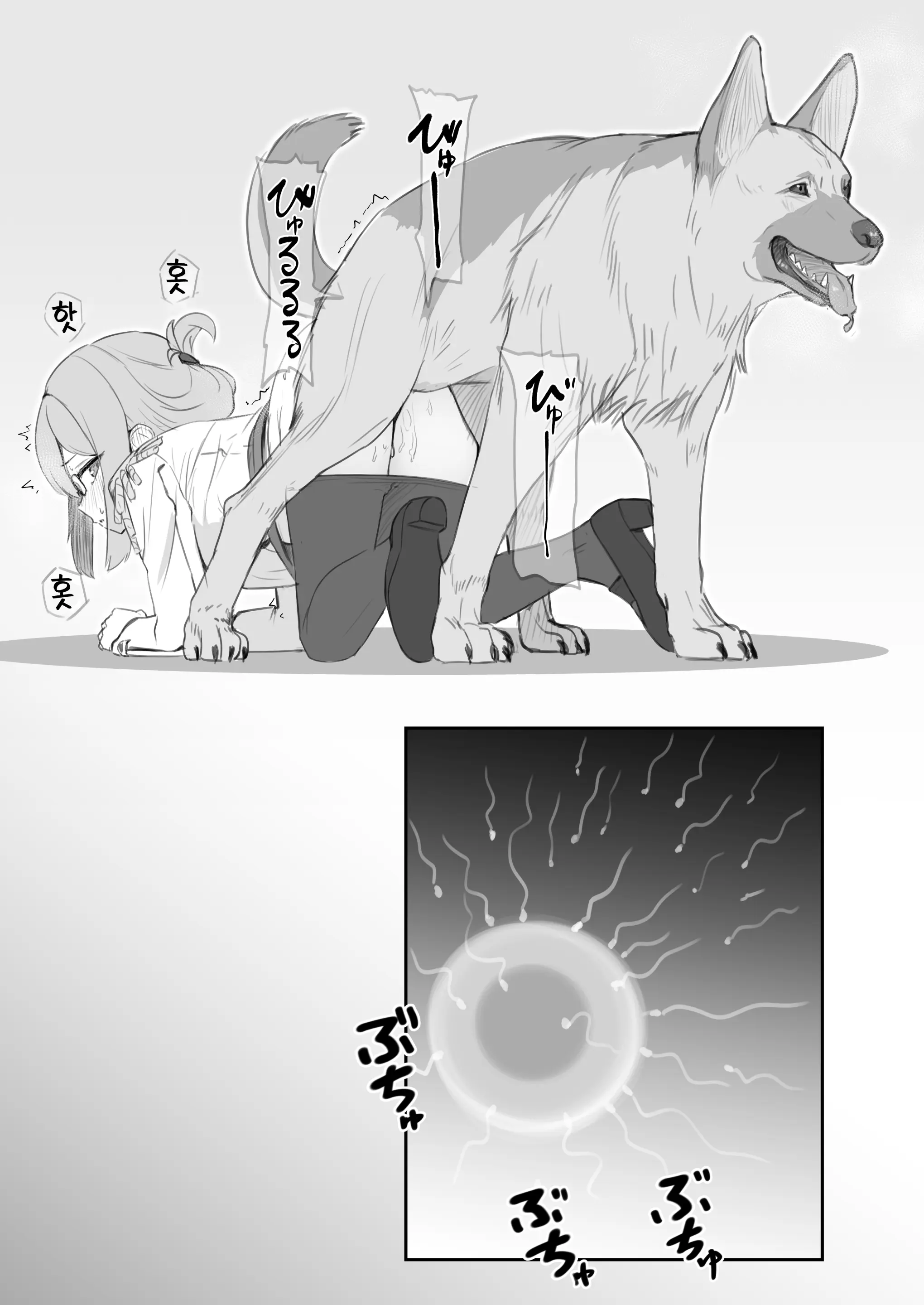 Genki Na Wanchan Desune! | 건강한 멍멍이네요!