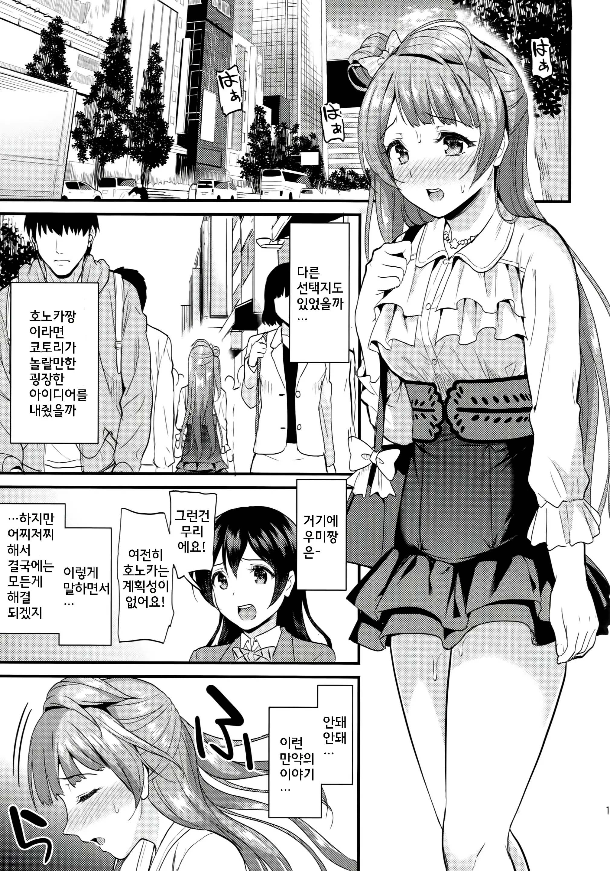 Kotori No Hanashi | 코토리의 이야기