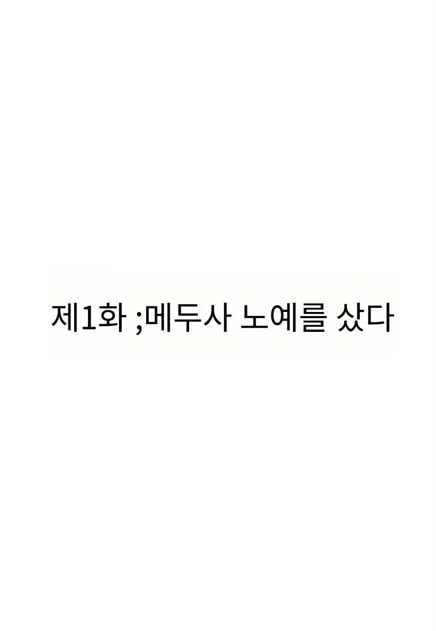 메두사 노예를 샀다