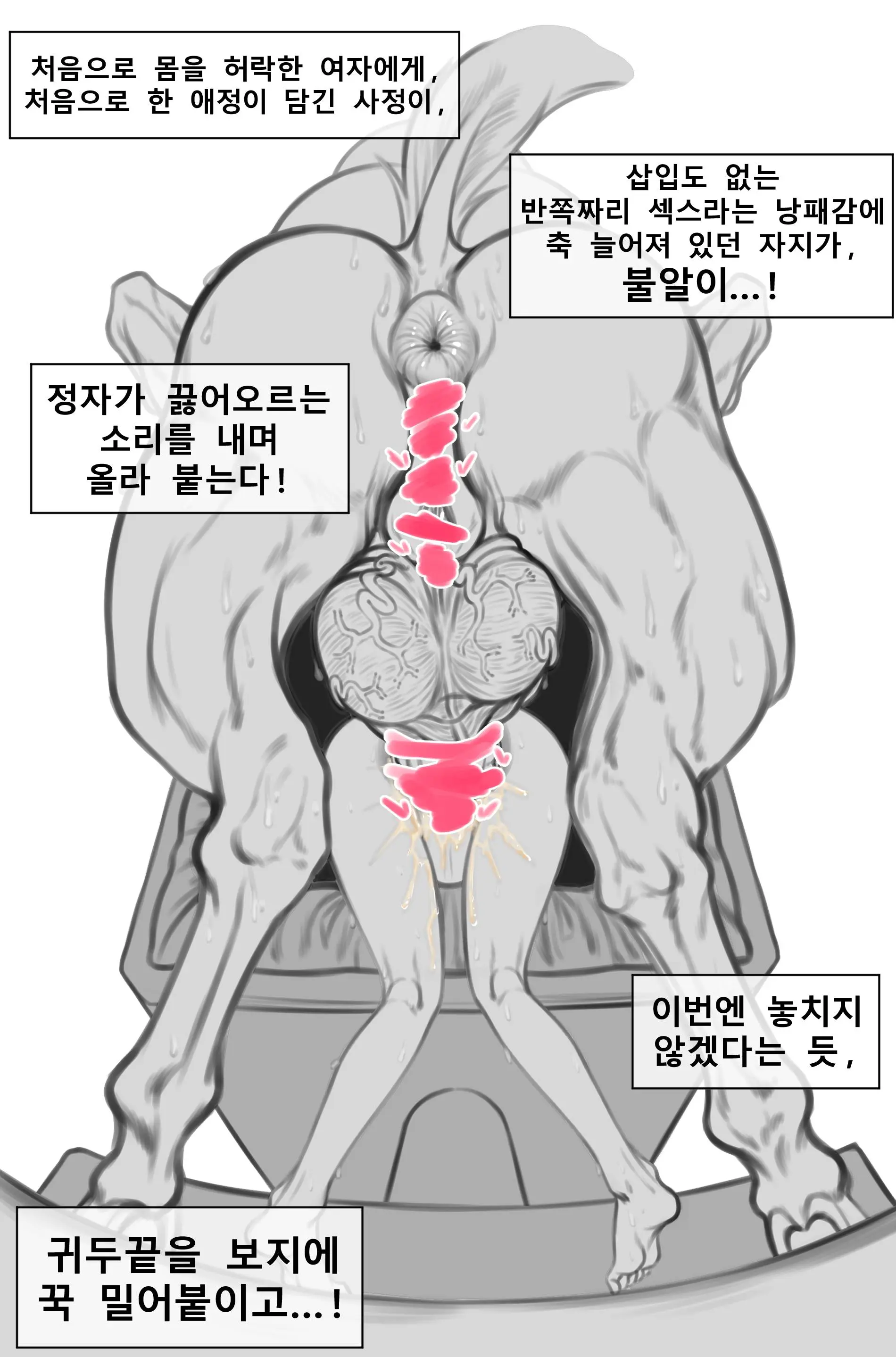말나홀 만화