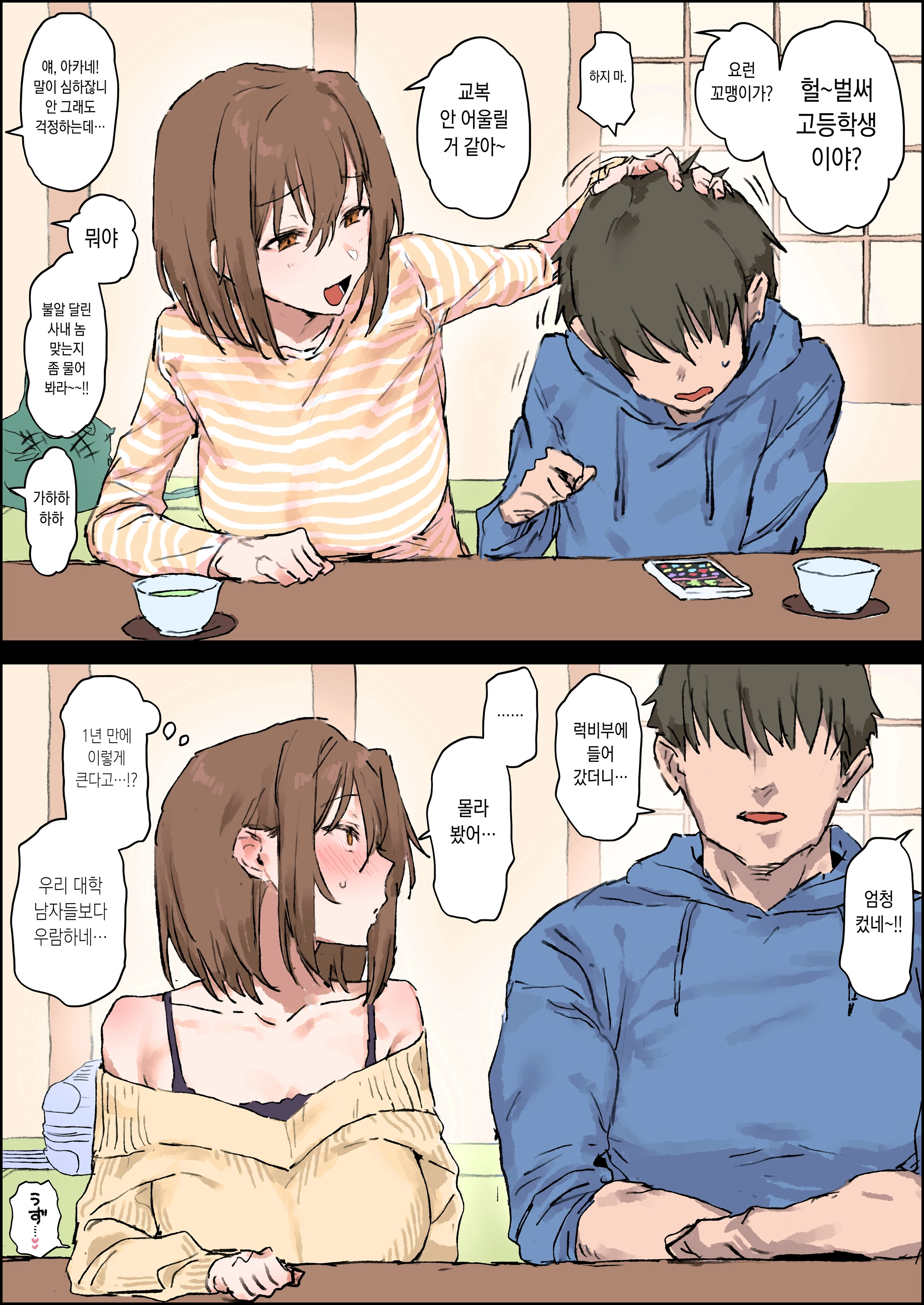 Shougatsu Dake Au Shinseki No Nee-Chan
