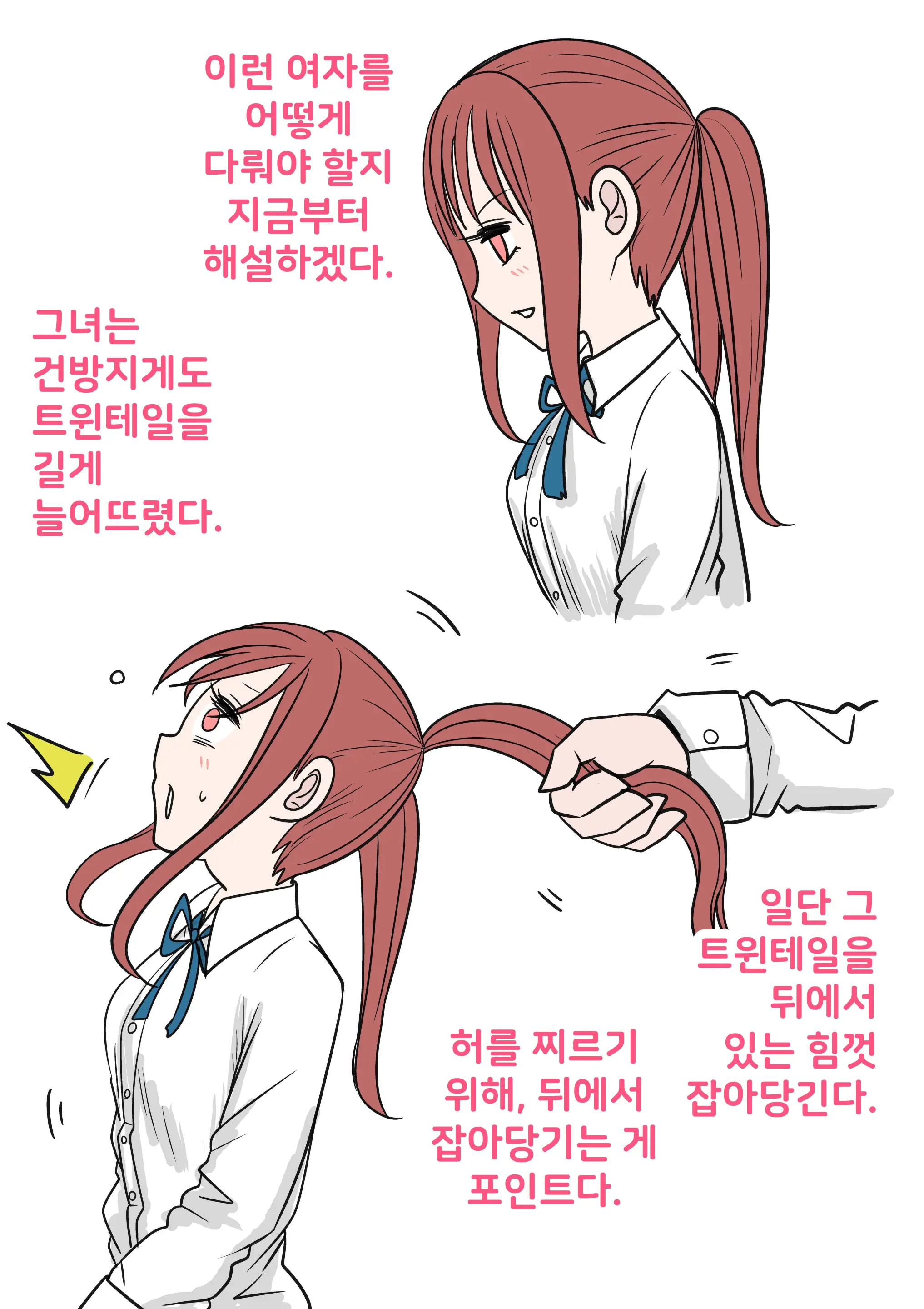 Tsuintēru No Tadashii Tsukaikata | 트윈테일의 올바른 사용법