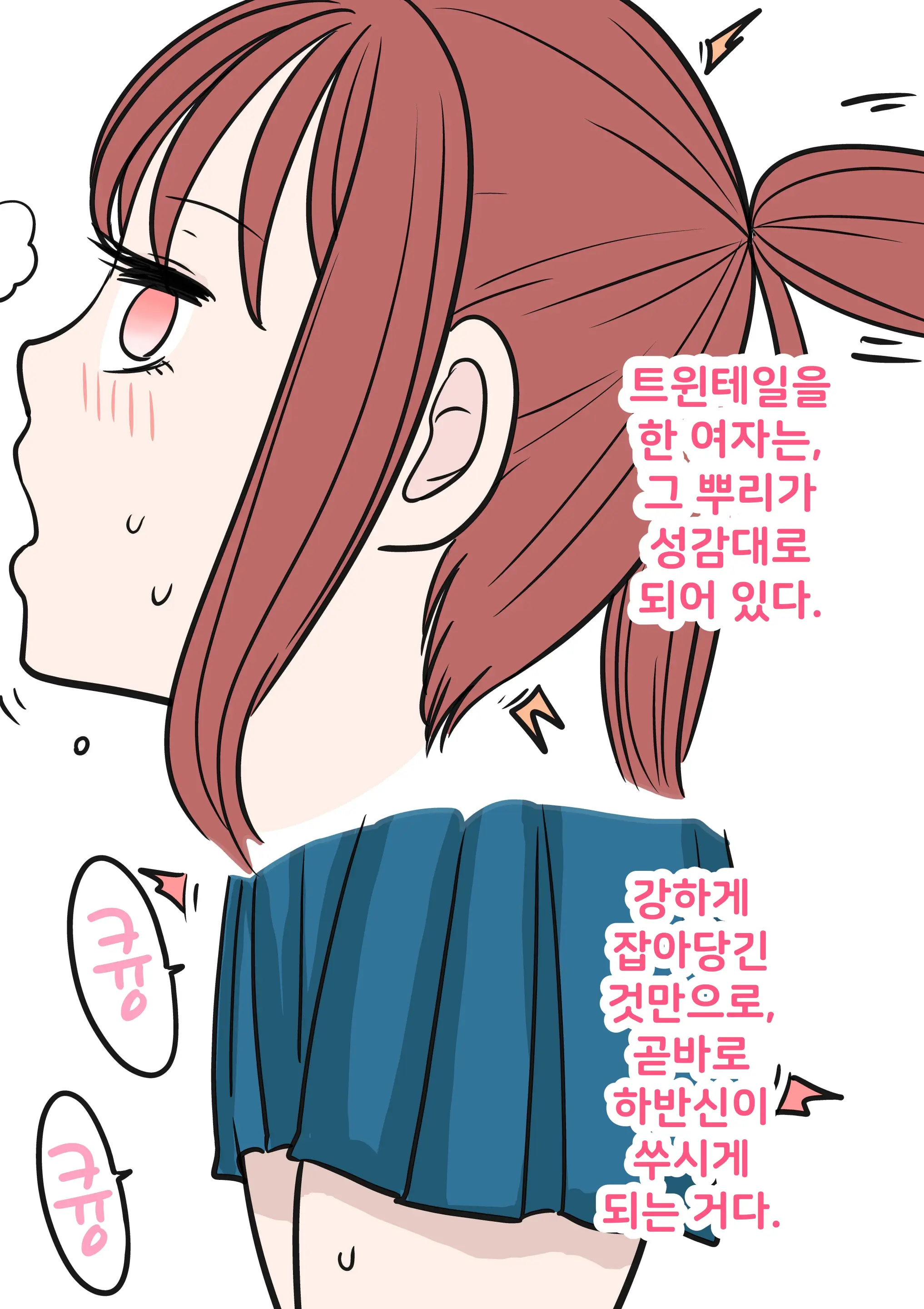 Tsuintēru No Tadashii Tsukaikata | 트윈테일의 올바른 사용법