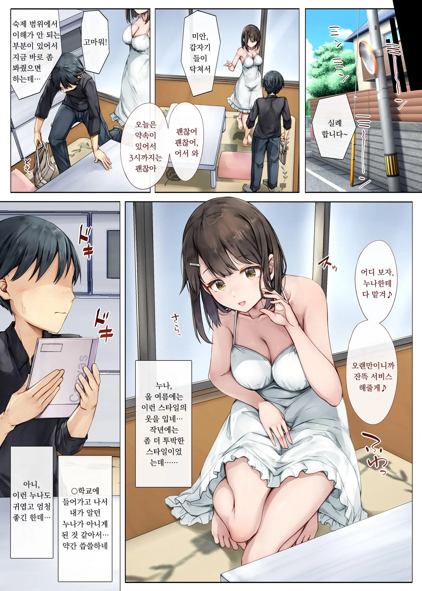 Mesu Ochi Onee-Chan ~Itsumo Mamotte Kureta Otokomasari Na Onee-Chan Wa Kyou Mo Senpai Ni Dakarete Onna Ni Naru~ | 암컷타락 누나 ∼늘 나를 지켜주던 여장부 같던 누나는 오늘도 선배의 품에 안겨 여자가 된다∼