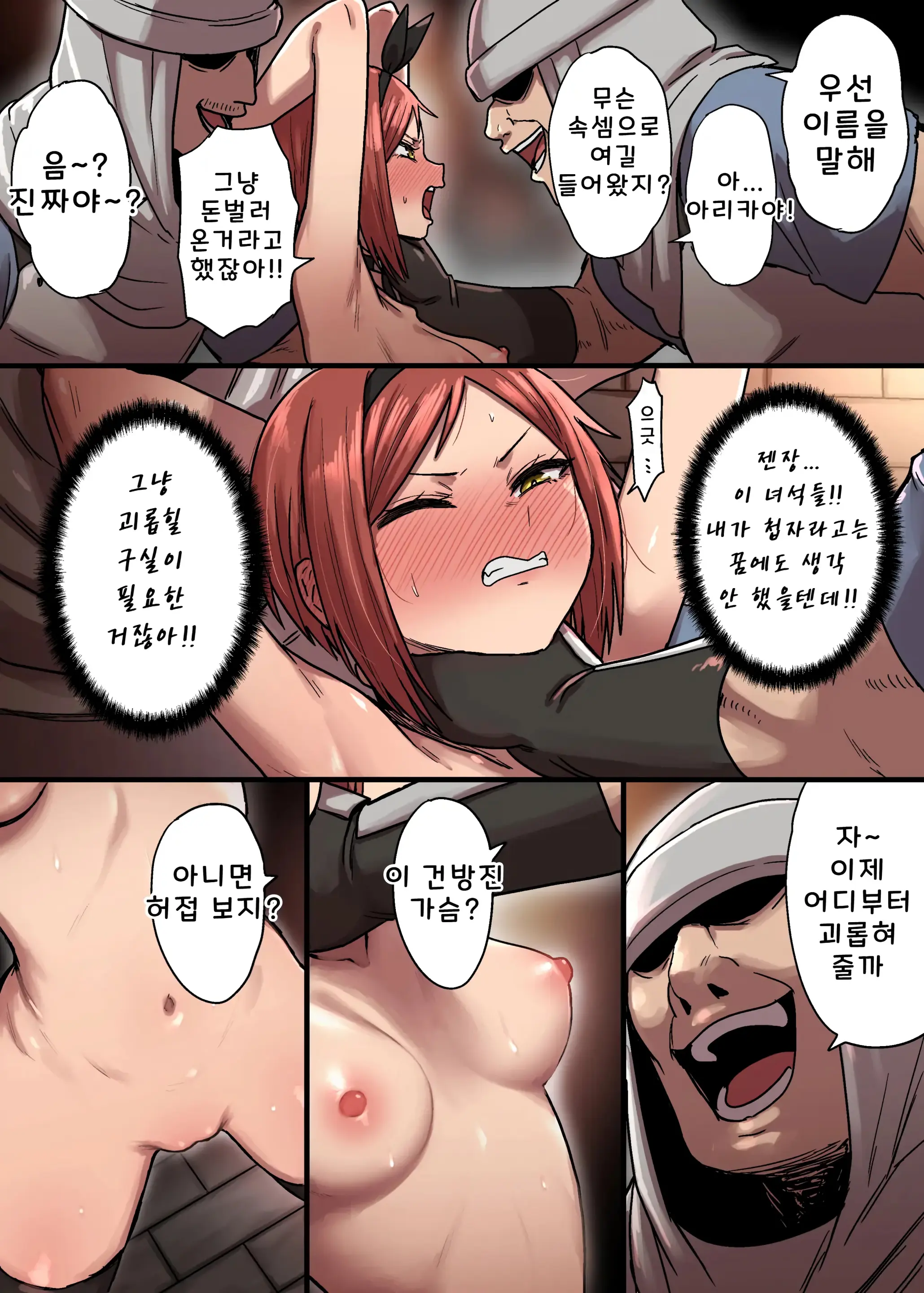 밀정 아리카의 수난 상편