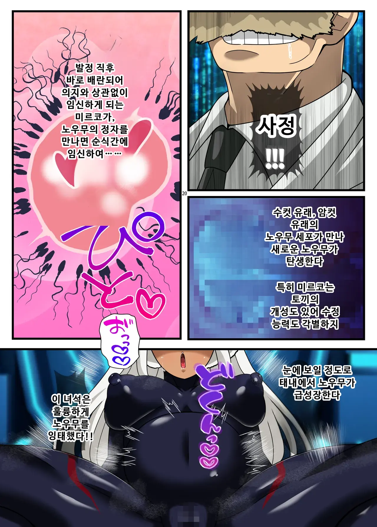 잡혀버린 토끼