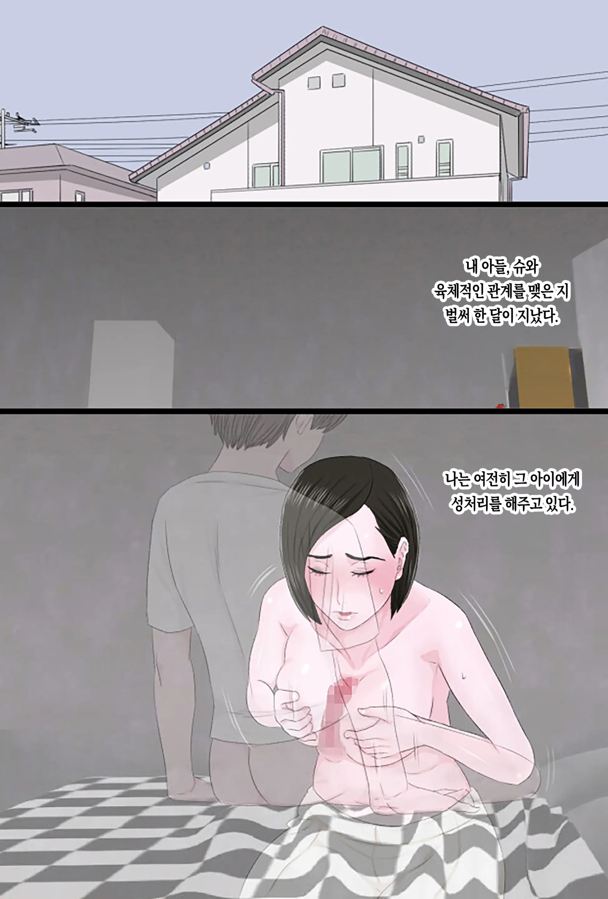 Seijun De Yasashii Okaa-San Wa Suki Desu Ka? Vol 2 | 청순하고 자상한 엄마를 좋아하시나요 2 ~ 첫 노콘 편~
