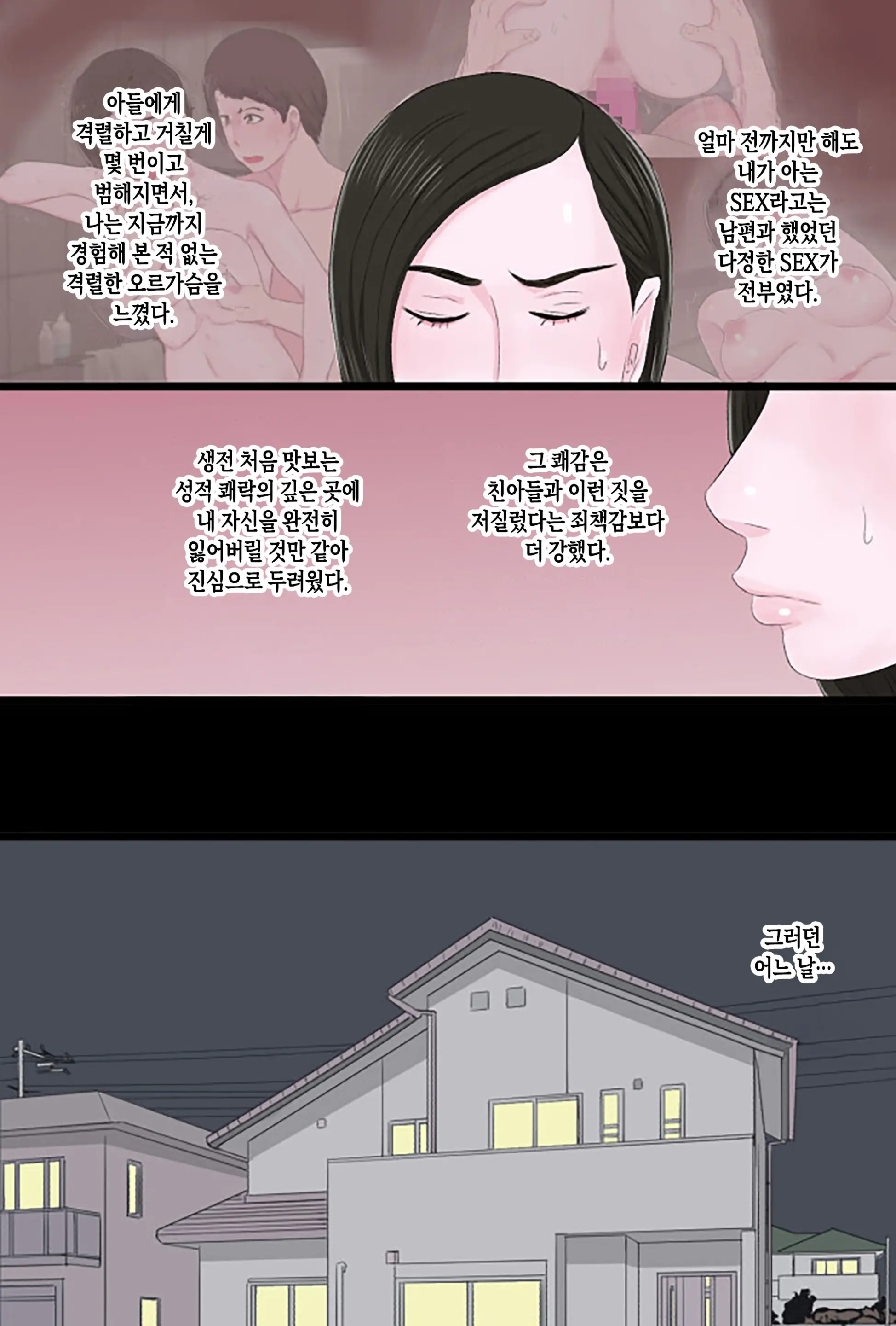 Seijun De Yasashii Okaa-San Wa Suki Desu Ka? Vol 2 | 청순하고 자상한 엄마를 좋아하시나요 2 ~ 첫 노콘 편~