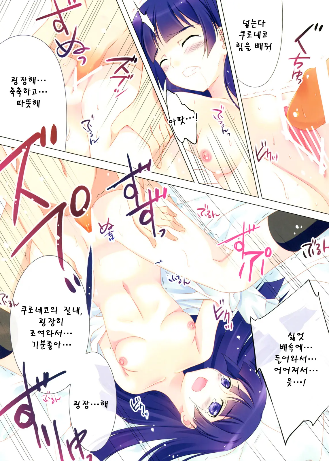Kawaii Kuroneko Shiiku Nikki ～my Cute Black Cat Love Diary～