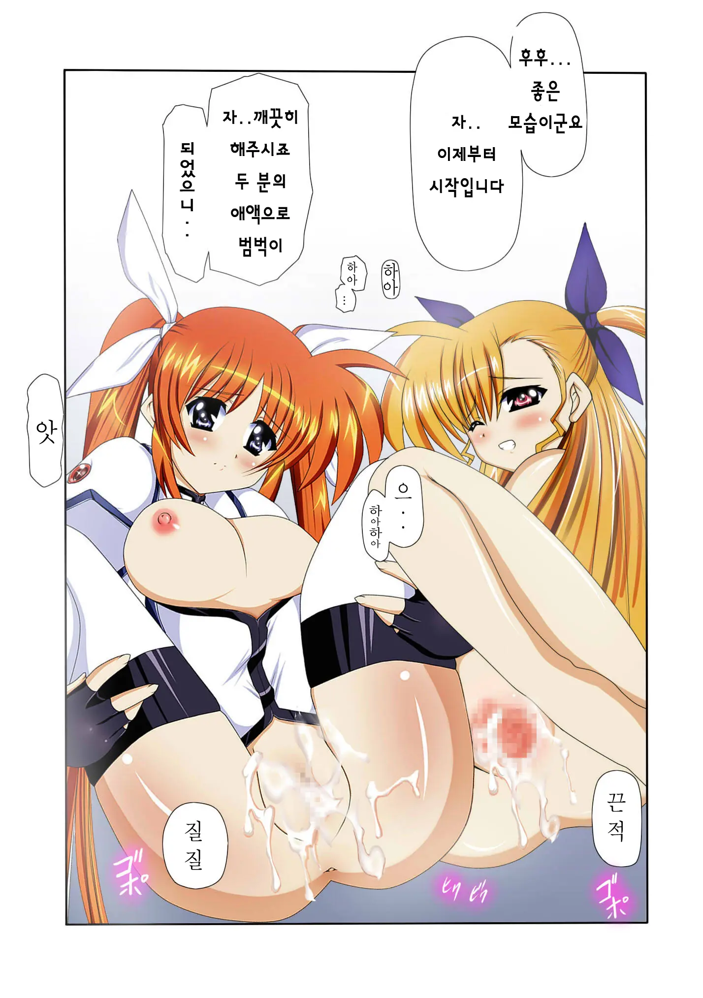 Mahou Shoujo Lyrical Na Echii Hon 8