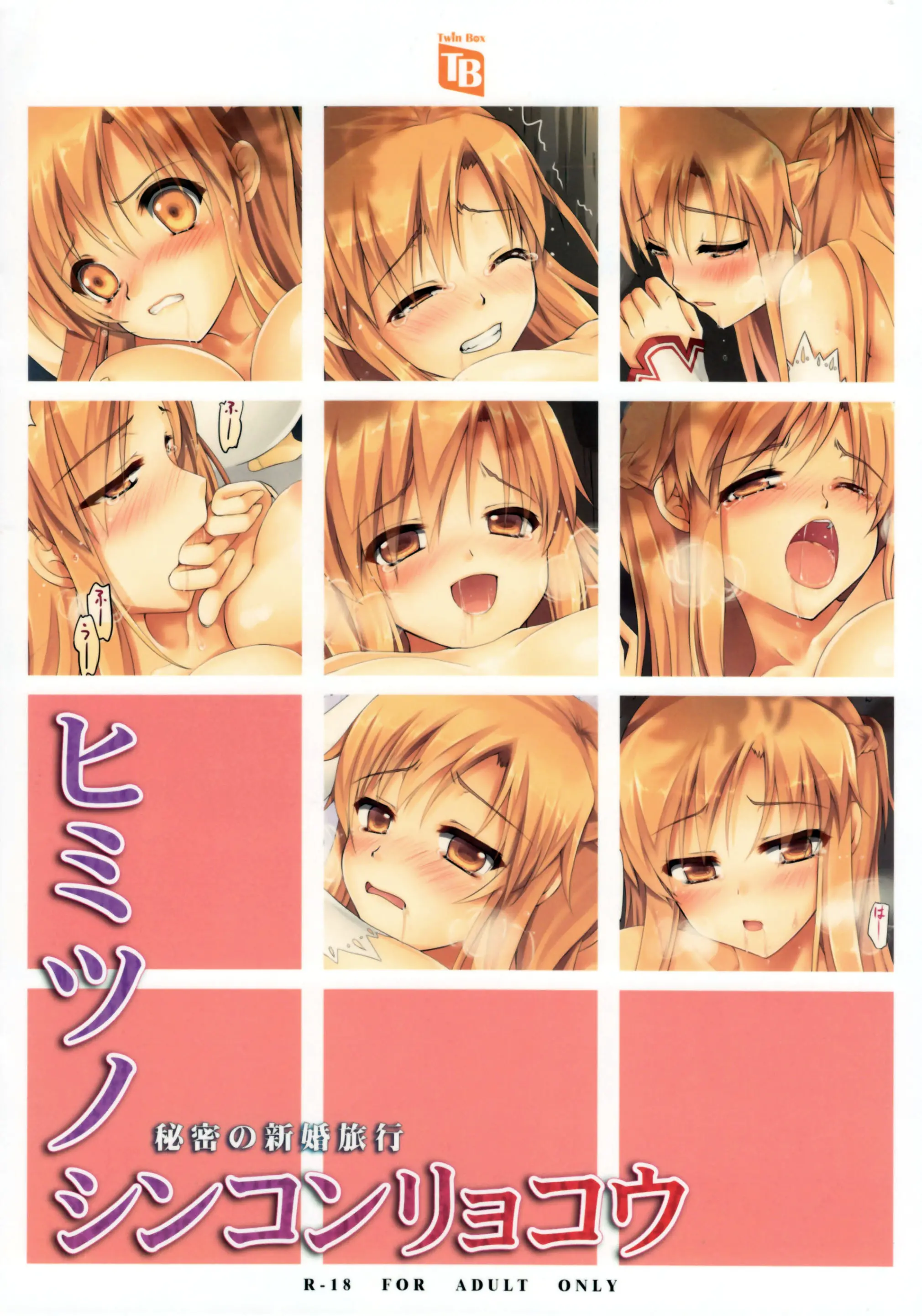 Himitsu No Shinkonryokou | 은밀한 신혼여행
