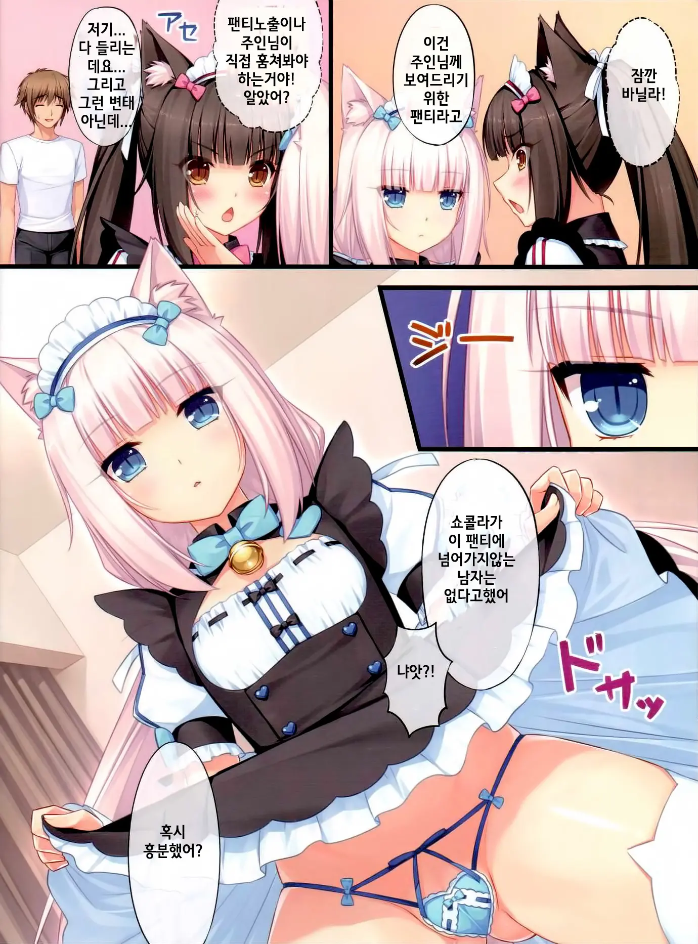 Neko Para 01 | 네코 파라 01