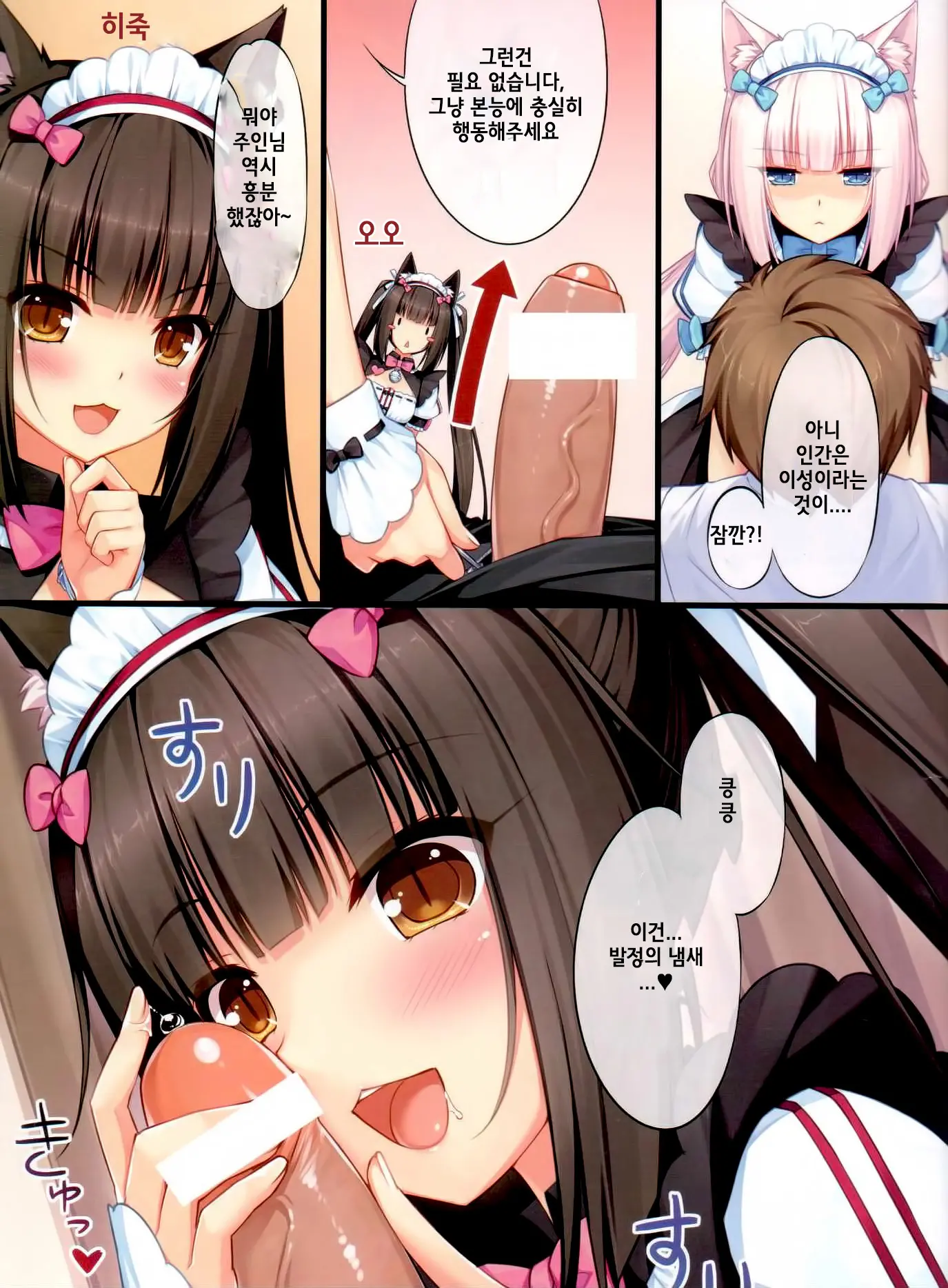 Neko Para 01 | 네코 파라 01