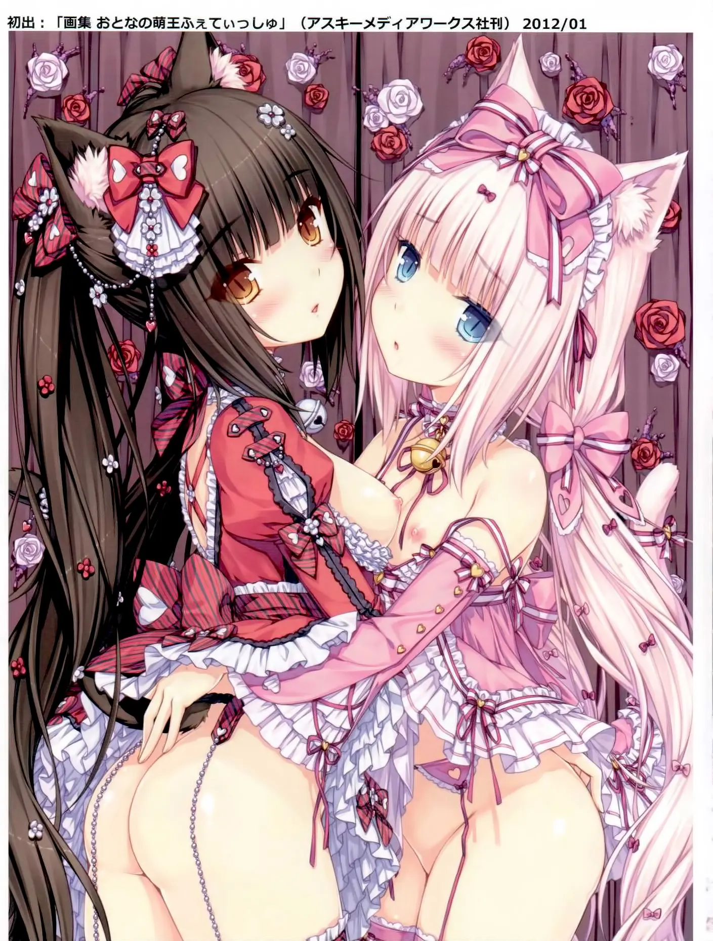 Neko Para 01 | 네코 파라 01