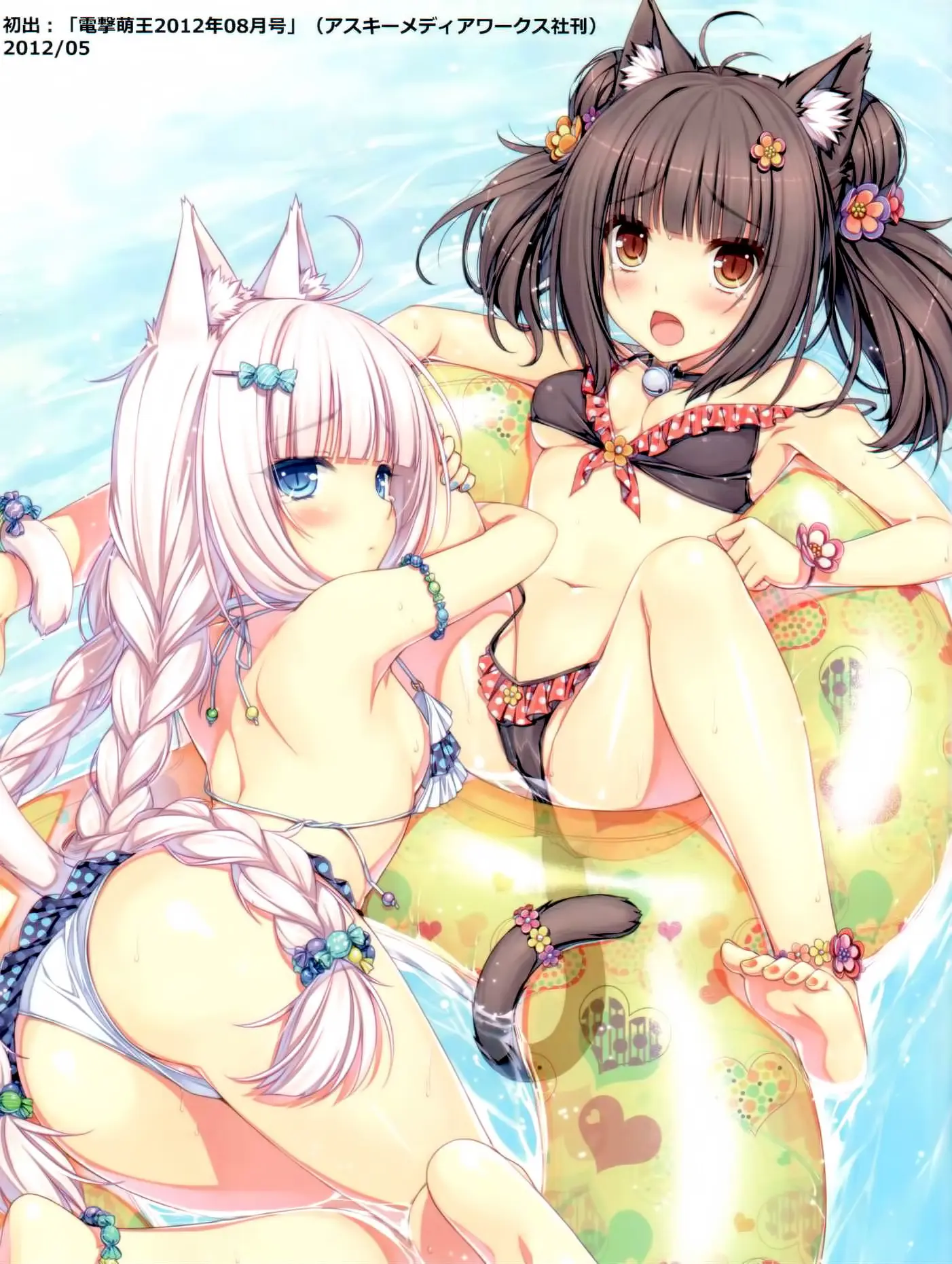 Neko Para 01 | 네코 파라 01