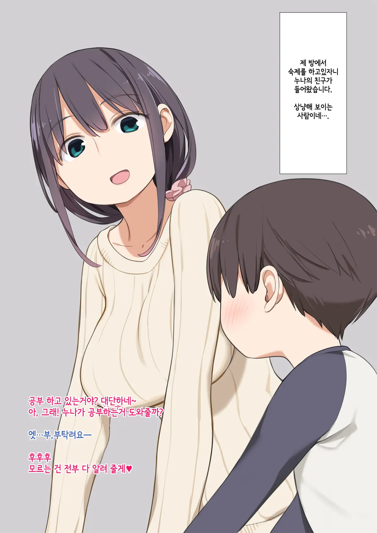 Onee-Chan No Tomodachi Ga Totemo Seiteki Datta Otouto-Kun No Hanashi