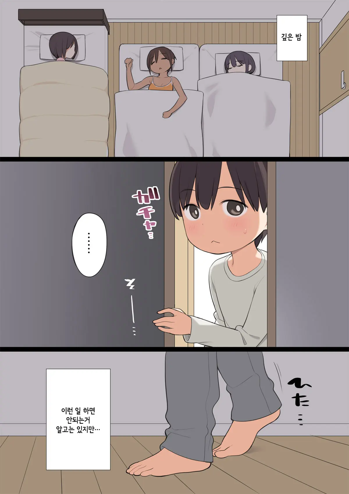 Onee-Chan No Tomodachi Ga Totemo Seiteki Datta Otouto-Kun No Hanashi