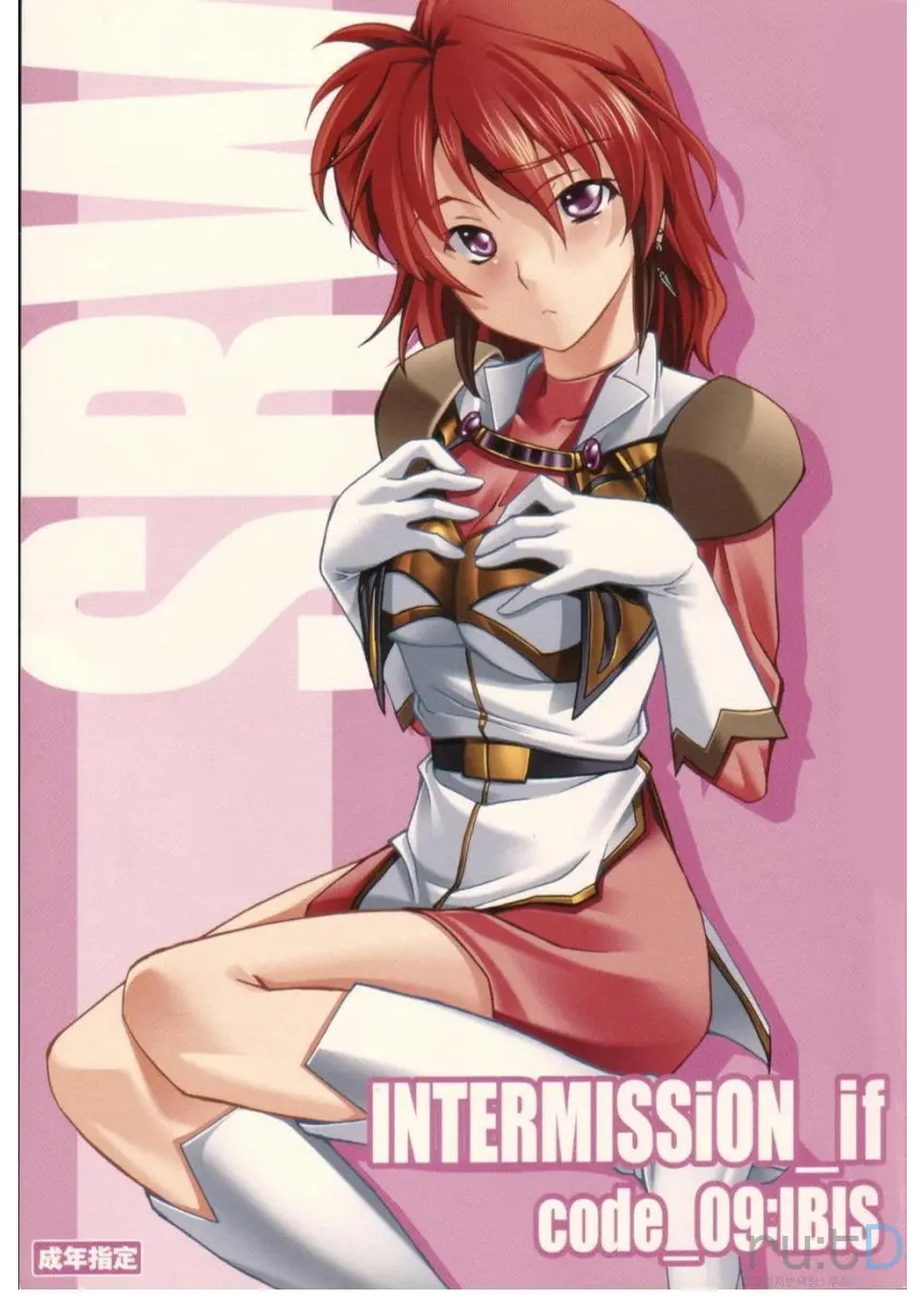 INTERMISSION_If Code_09:IBIS