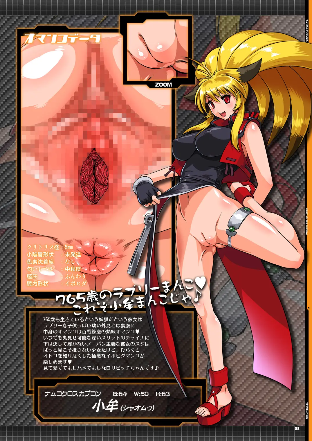 Project Secret Zone