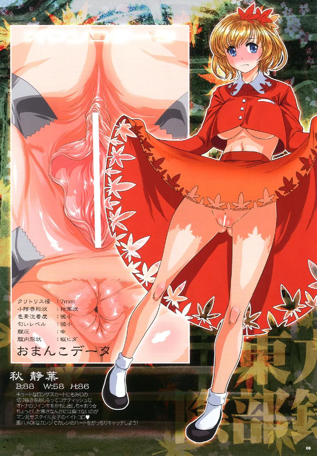 Touhou Inburoku