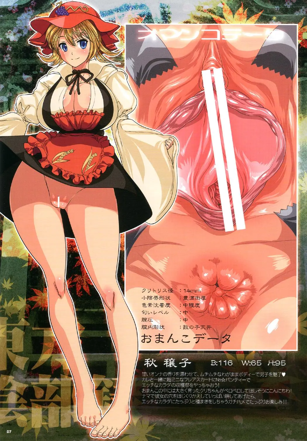 Touhou Inburoku